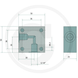 Cejn Adaptor block, 1/4” NPT male x 1/4” NPT