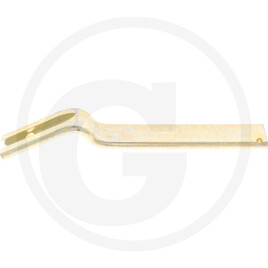 Hatzenbichler Shank for ridging share