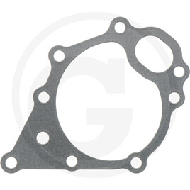 Isuzu Water pump gasket