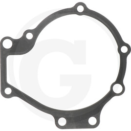 Isuzu Water pump gasket