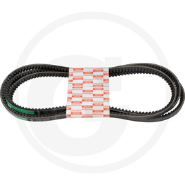 Isuzu V-belt