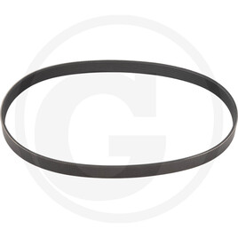 Isuzu V-belt