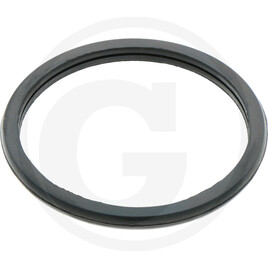Isuzu Outlet gasket