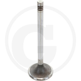 HATZ Valve cone, inlet