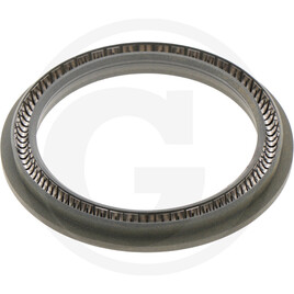 Carraro Dichtring