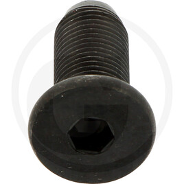 GRANIT SCREW M12 X 1.25 X 30 10.9