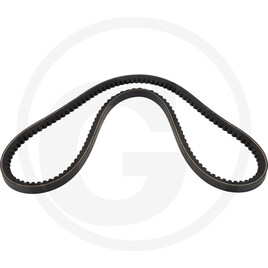 V-belt