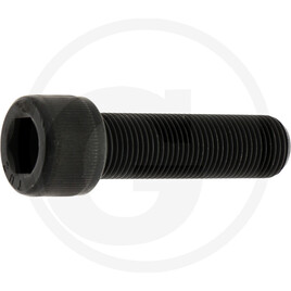 Rayco Bolt