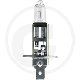 Philips Halogen bulb H1