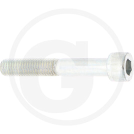 Laski bolt
