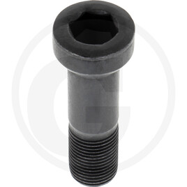 Toro Bolt 18x2.5