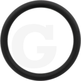 Isuzu Gasket
