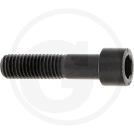 Laski bolt