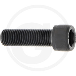 Laski bolt
