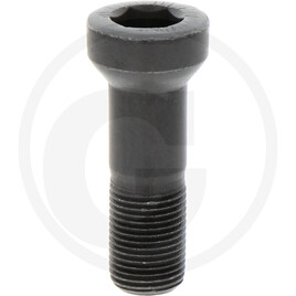 Toro Bolt