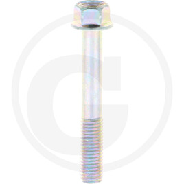 Isuzu Bolt