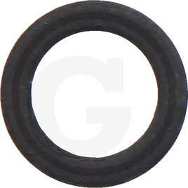 Isuzu Gasket
