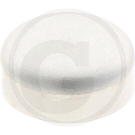 Isuzu Sealing cap, cylinder head