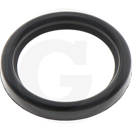 Isuzu Gasket