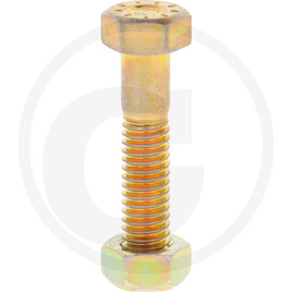 Bourgault screw