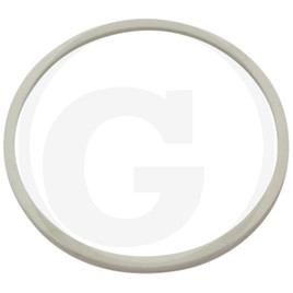 DANA Spicer Sealing ring