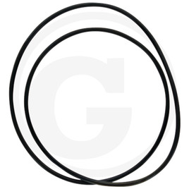 DANA Spicer O-ring