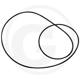 DANA Spicer O-ring