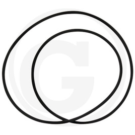 DANA Spicer O-ring