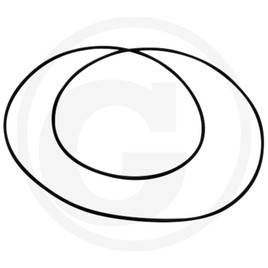 DANA Spicer O-ring