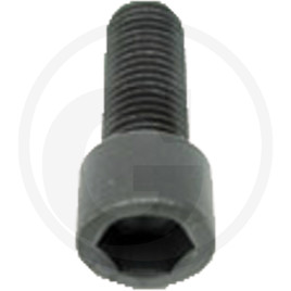 GRANIT Hexagon socket bolt