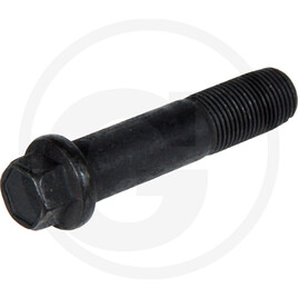 GRANIT Greenbolt screw 2 3/4"