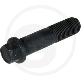 GRANIT Greenbolt screw 2 1/2"