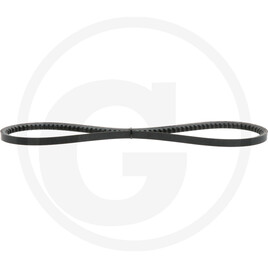 V-belt
