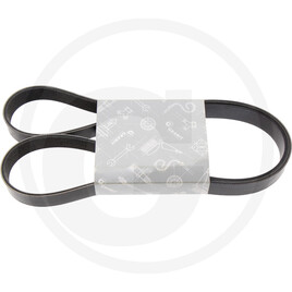 V-belt