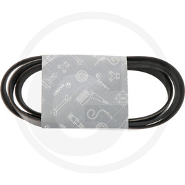 V-belt