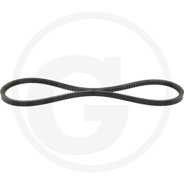 V-belt