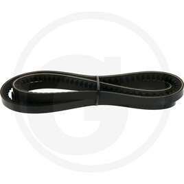V-belt
