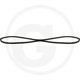 V-belt