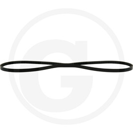 V-belt