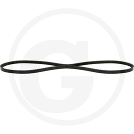V-belt