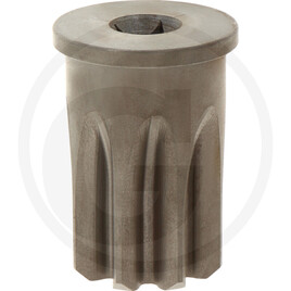 Pinion