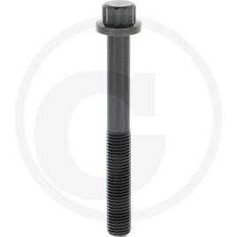 Isuzu Cylinder head bolt