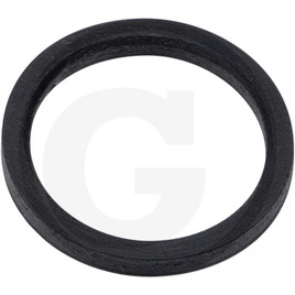 Mitsubishi Thermostat gasket