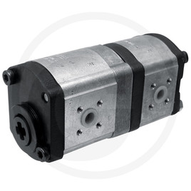 Bosch/Rexroth Double pump