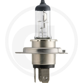 Philips Halogen bulb H4