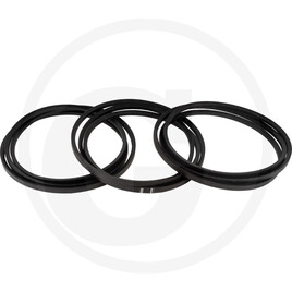 Grimme V-belt 22x4080li set