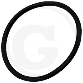 Sunseeker Drive wheel seal