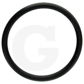 Loncin Dichtring
