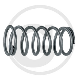 Walterscheid Compression spring