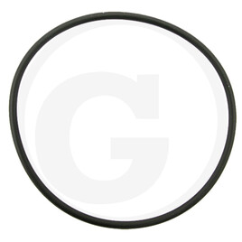 MZ O-ring